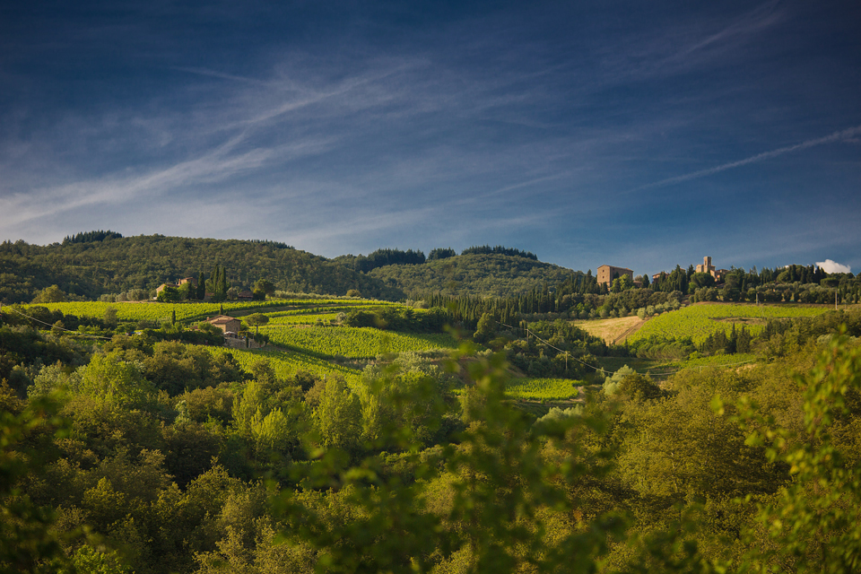 Fattoria Castello di Volpaia